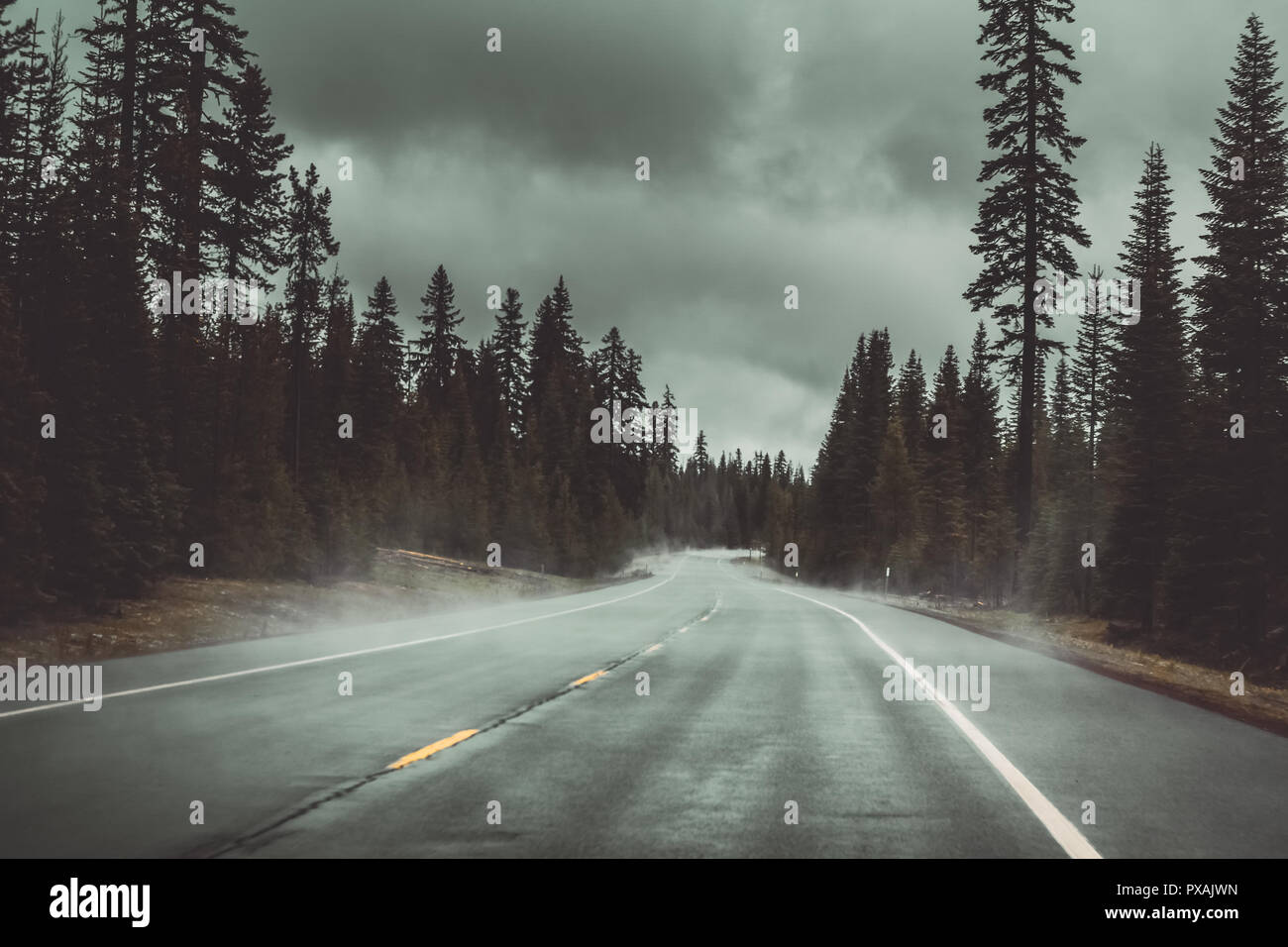 Sur la route avec le temps nuageux et orageux dans la chaîne des Cascades, près de Diamond Lake, Oregon, USA. Banque D'Images