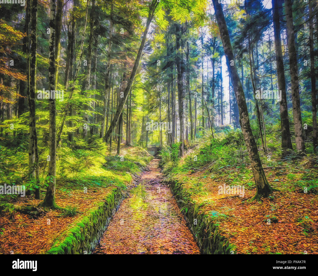 L'ART NUMÉRIQUE : Magic woods à l'Schlossweiher près de Augsburg, Bavière, Allemagne Banque D'Images