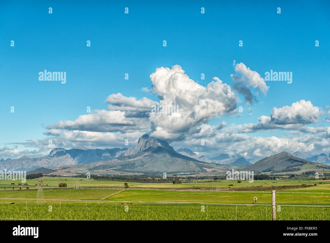 Vue à partir de la route R312 en direction de Simonsberg et les montagnes Hottentots-Holland dans la province de Western Cape Banque D'Images