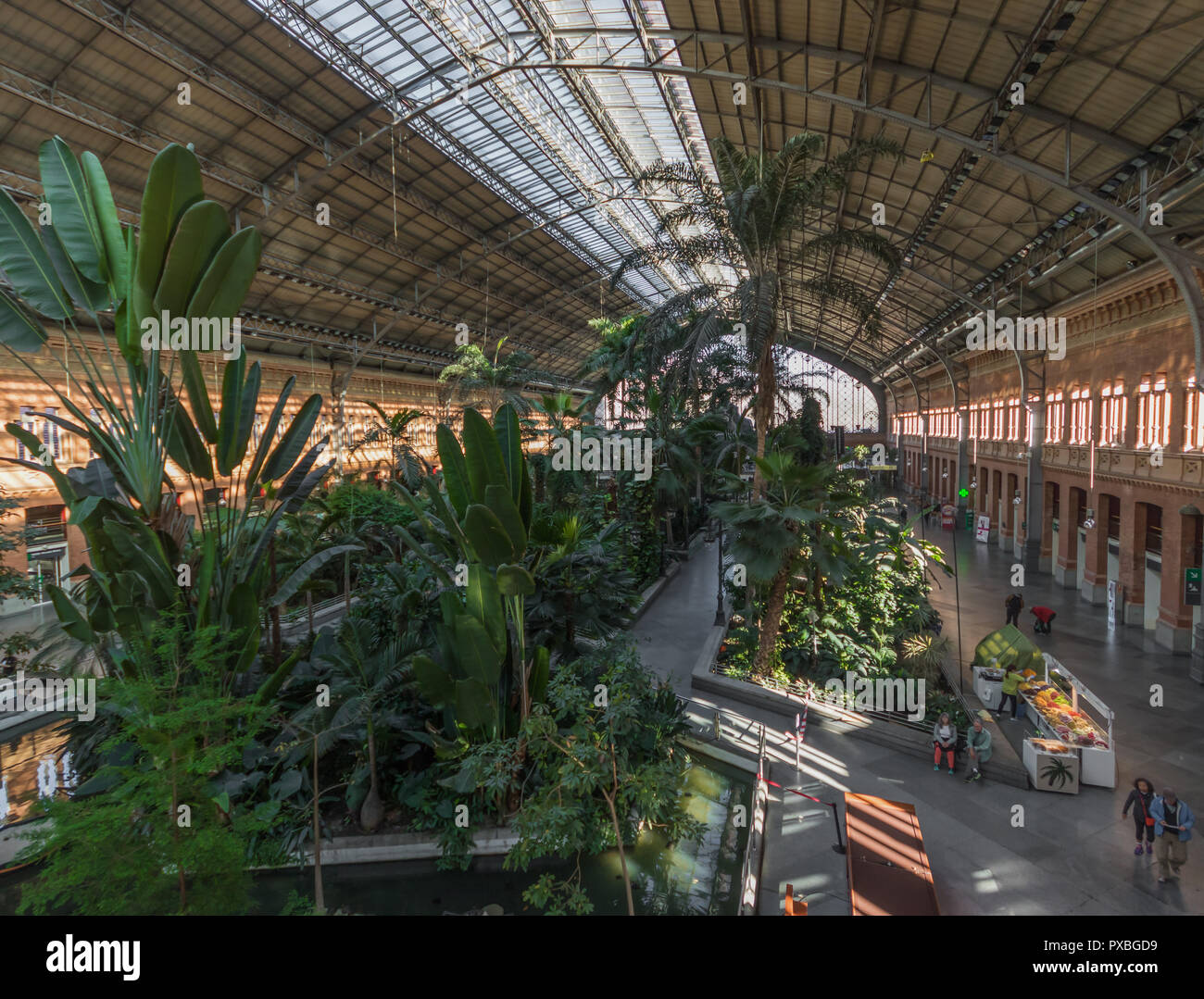 2004 dévastée par les bombardements, la gare d'Atocha, à Madrid, est aujourd'hui connue pour son jardin tropical intérieur Banque D'Images