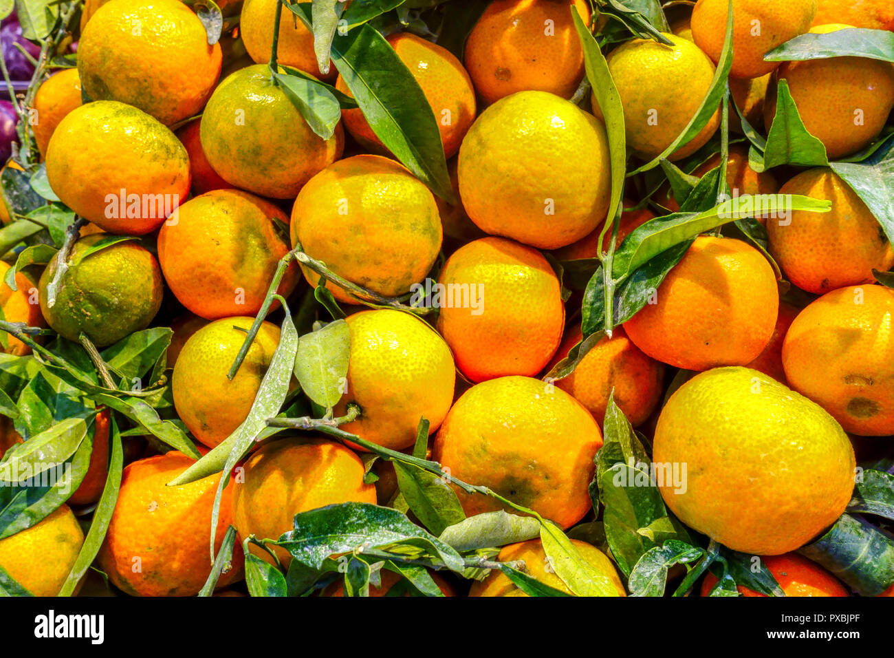 Clementine oranges sur marché, Palma de Mallorca, Espagne Banque D'Images