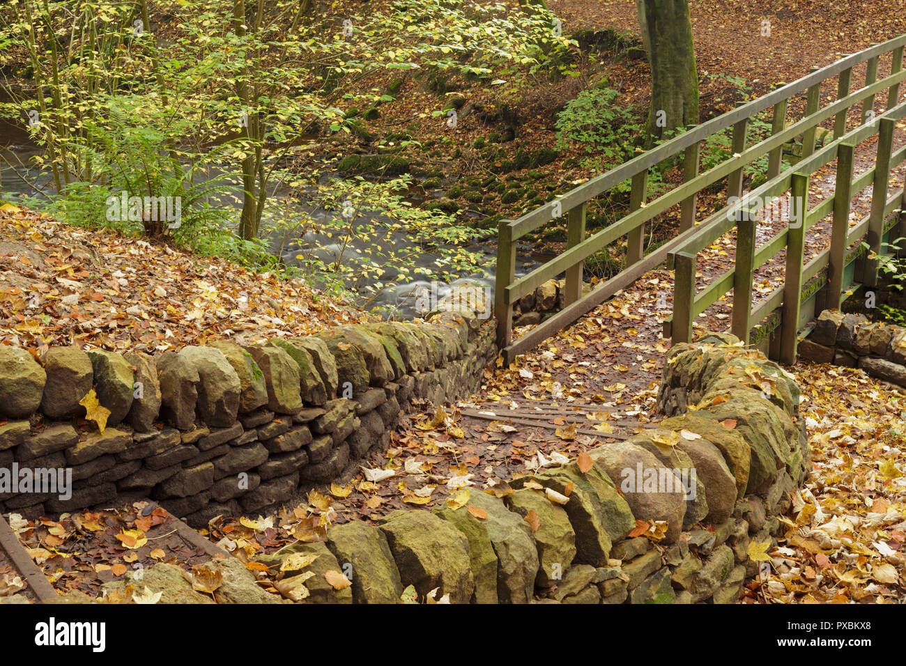 Passerelle et mur de pierre à Eller Beck, Skipton Castle Woods, Skipton, Yorkshire du Nord, Angleterre, octobre Banque D'Images