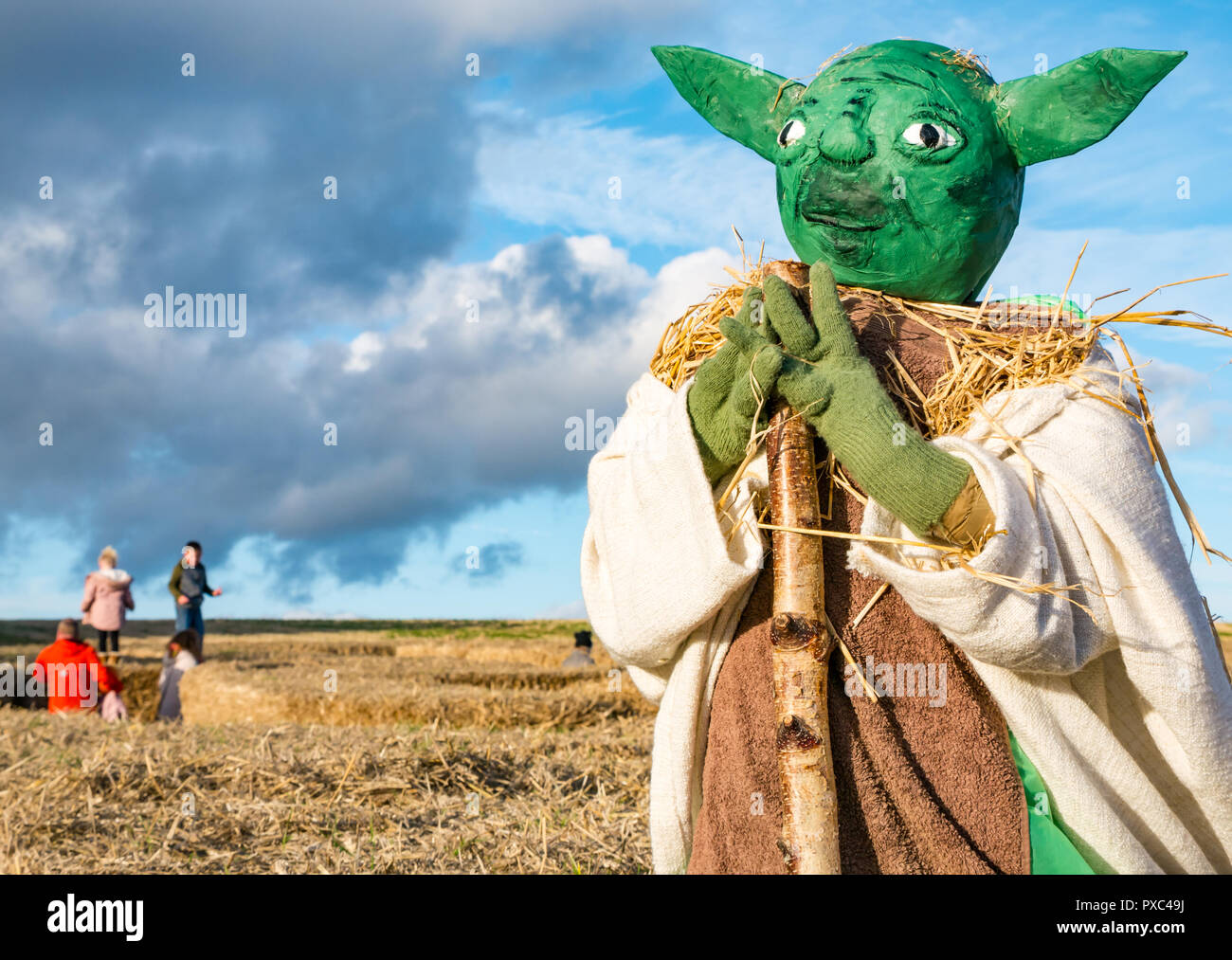 Kilduff Farm, East Lothian, Ecosse, Royaume-Uni, 21 octobre 2018. Enfants jouant sur le dessus de la paille bottes de foin dans un labyrinthe avec un Maître Jedi Yoda en peluche à un mannequin choisissez votre propre pumpkin farm Banque D'Images