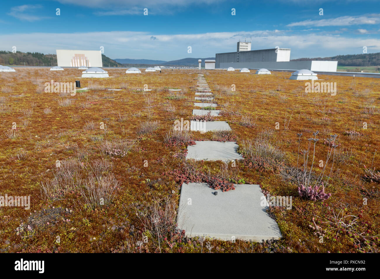 Toit plat recouvert de gravier et de prairie. Banque D'Images