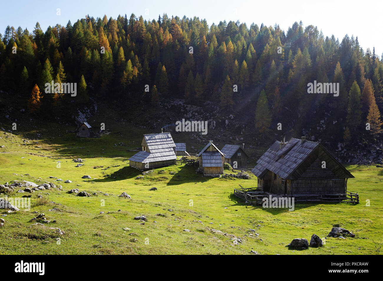 Prairie alpine colorés et cabanes de bois à l'automne, la Slovénie, Banque D'Images