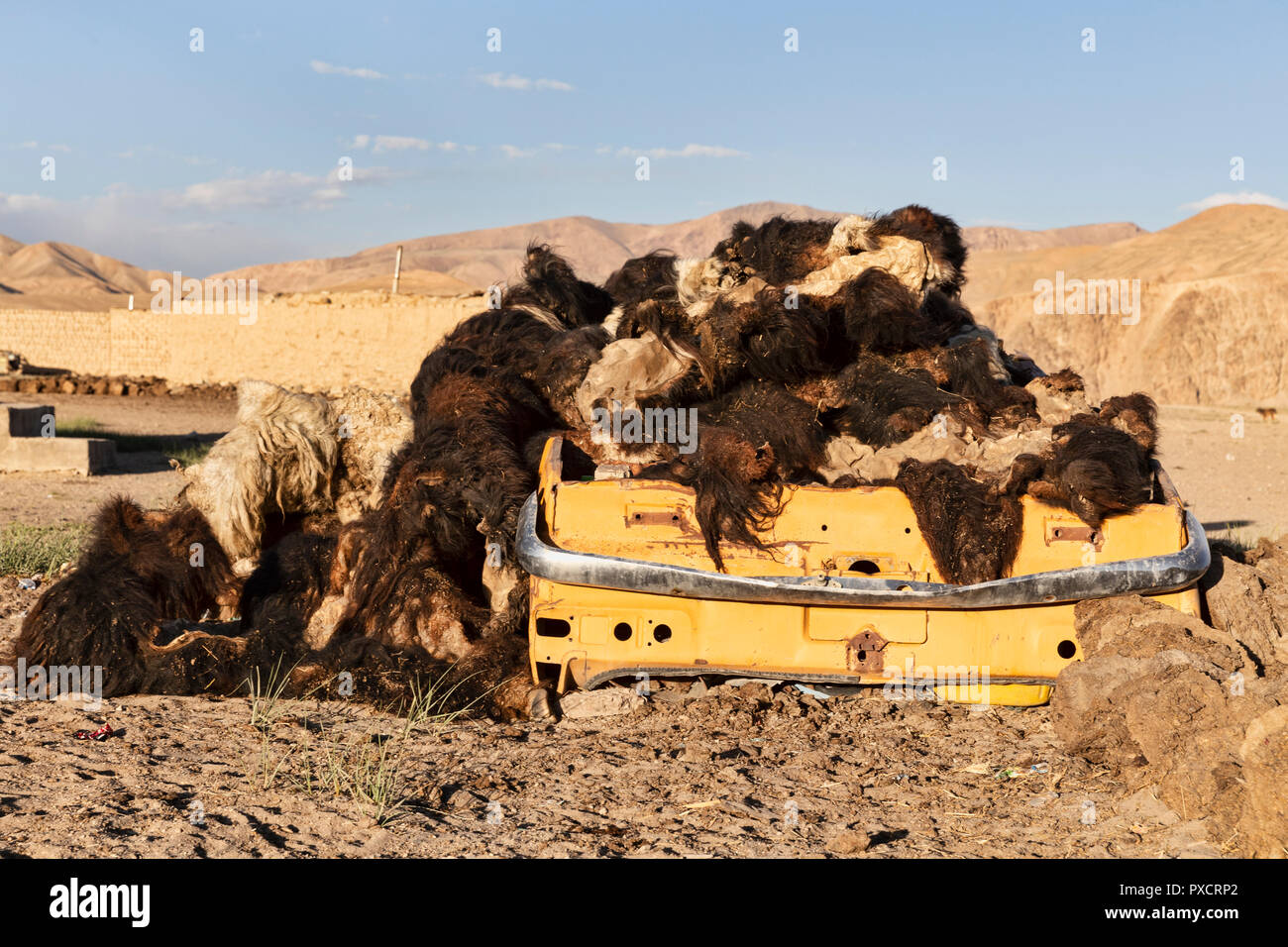 La laine des moutons au sommet d'une voiture renversée dans Bulunkul village, Bulunkul Pamir, autoroute, Haut-badakhchan, Tadjikistan Banque D'Images