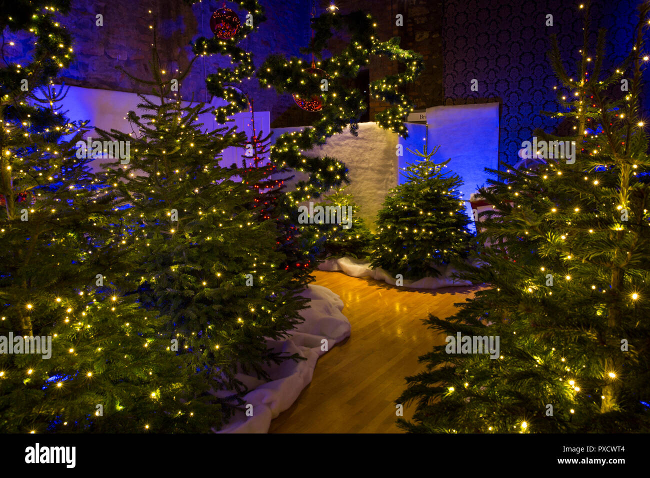Royaume-uni, Angleterre, dans le Yorkshire, Castle Howard à Noël, le Père Noël est magique, le jardin rempli d'arbres de Noël grotto Banque D'Images