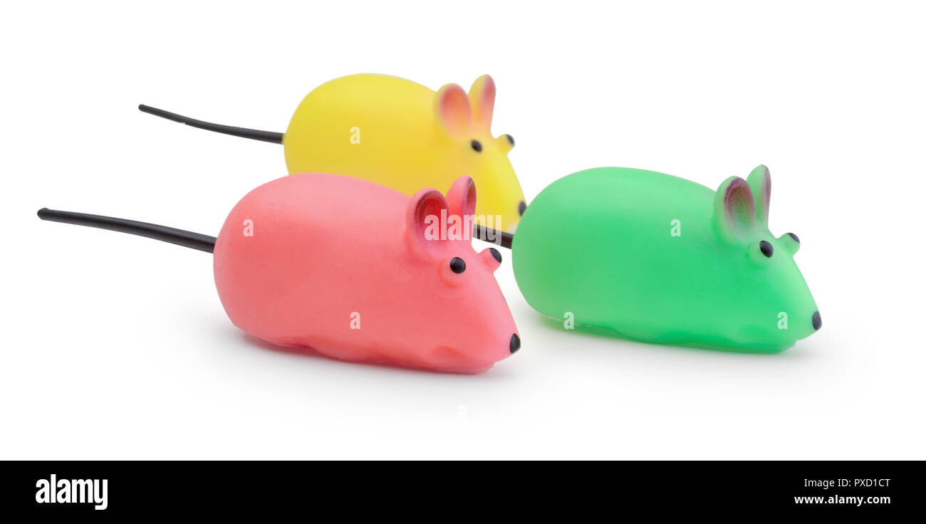 Régler la souris jouet pour chat isolé sur fond blanc Banque D'Images