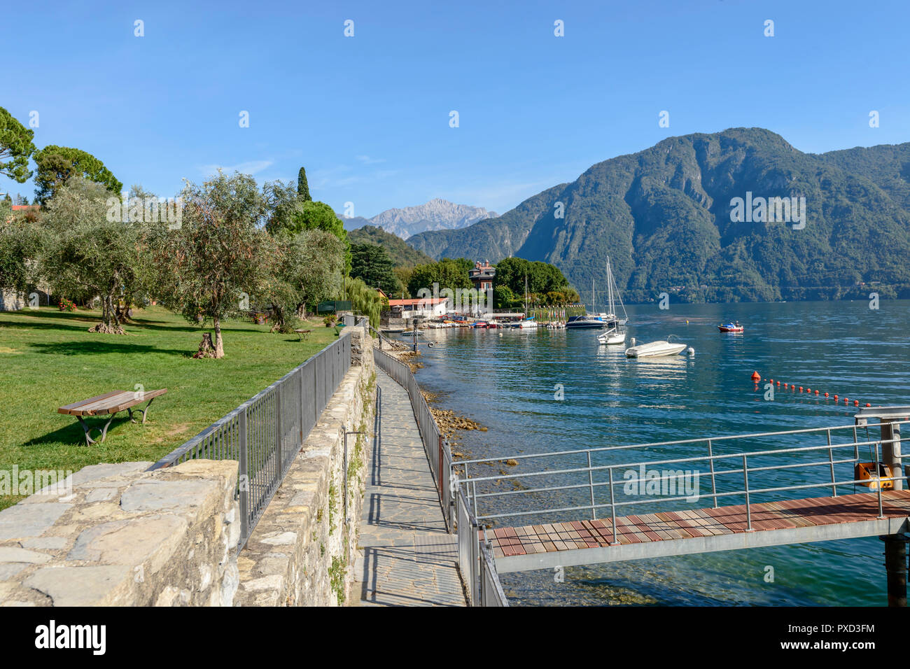 Paysage du lac de Côme verte avec des oliviers sur lakeside et moorings , tourné vers le nord en automne lumineux lumière à Sala Comacina, Côme, Italie Banque D'Images