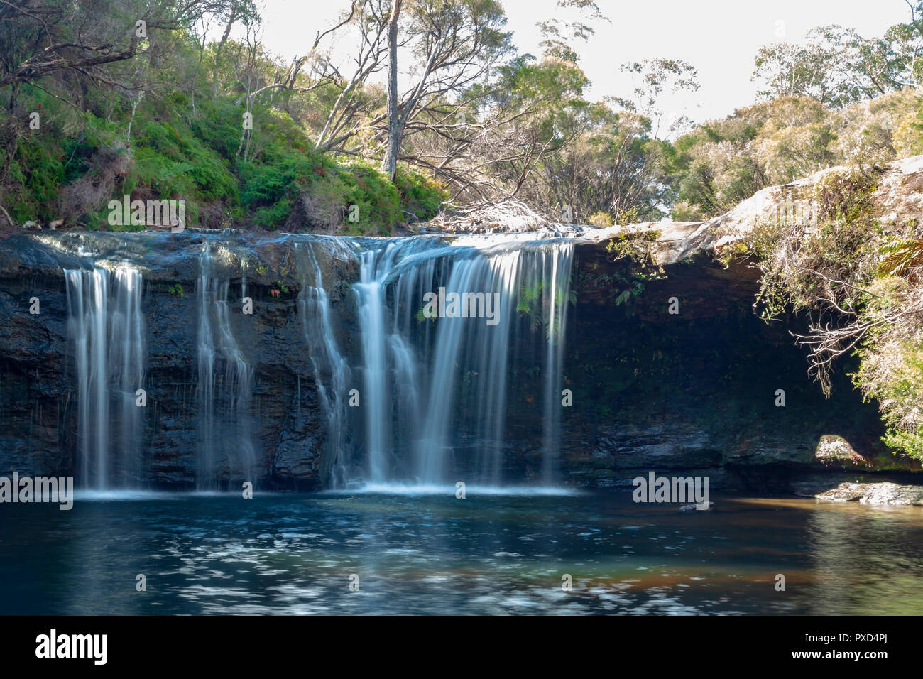Cascade chute d'énergumènes à l'abreuvoir, Glen Robertson, New South Wales, Australie Banque D'Images