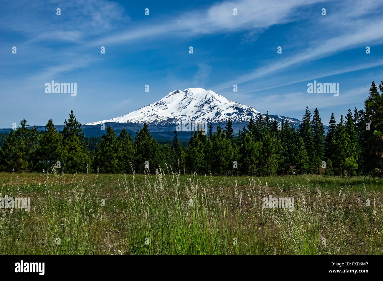Mont Adams couverte de neige sur une belle journée, des Cascades, dans l'état de Washington, USA. Banque D'Images