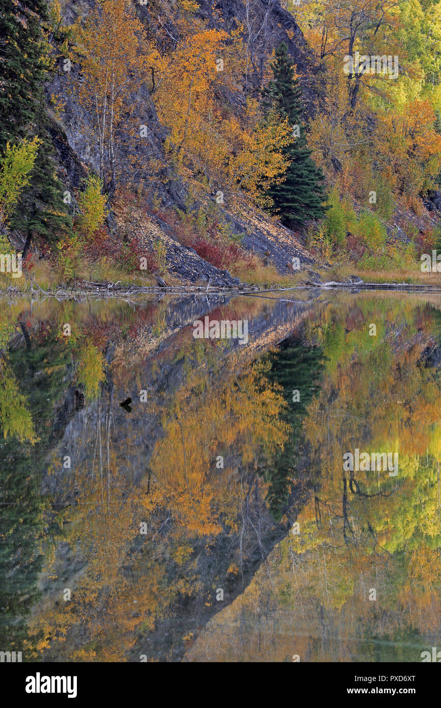 Les couleurs de l'automne ou à l'automne le long de la Glenn Highway Alaska Banque D'Images