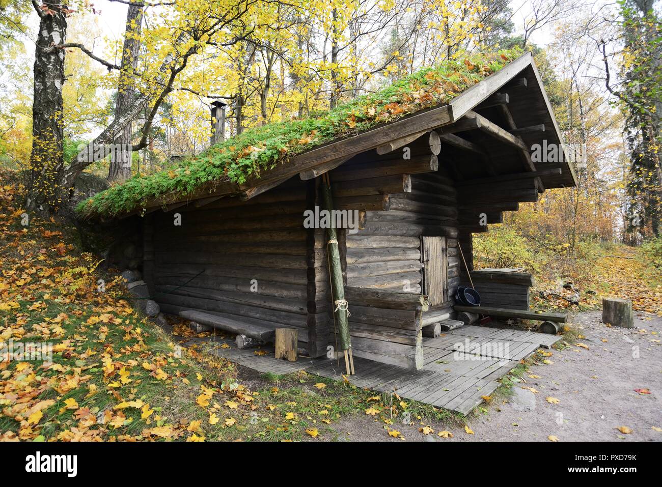 Sauna finlandais traditionnel en bois à l'automne, extérieur Banque D'Images