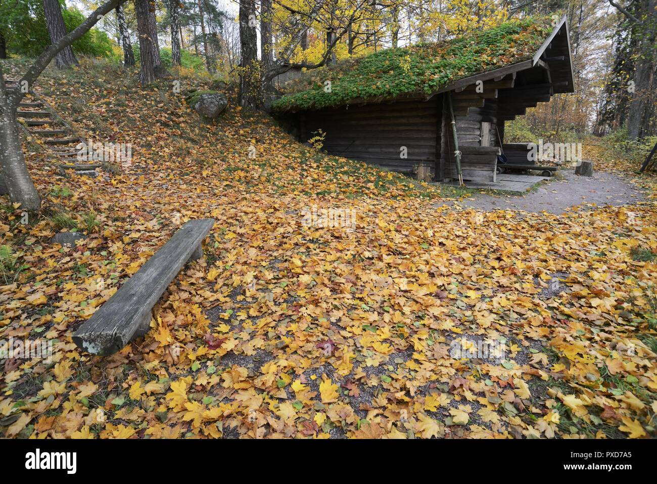 Sauna finlandais traditionnel en bois à l'automne, extérieur Banque D'Images