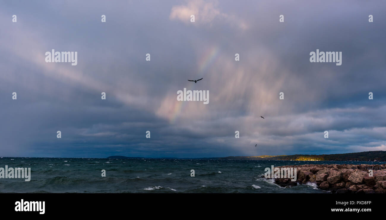 Les mouettes volent la mer en face d'un léger arc-en-ciel sur un lac orageux. Banque D'Images