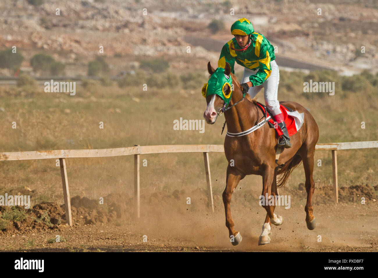 Dans une course de chevaux arabes avec des cavaliers bédouins Banque D'Images