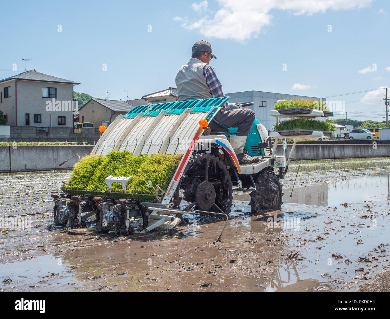 Riz d'exploitation des agriculteurs, la machine du semoir avec bacs de plants de riz, rizières inondées, près de maisons, Takamatsu, Kagawa, Japon Banque D'Images