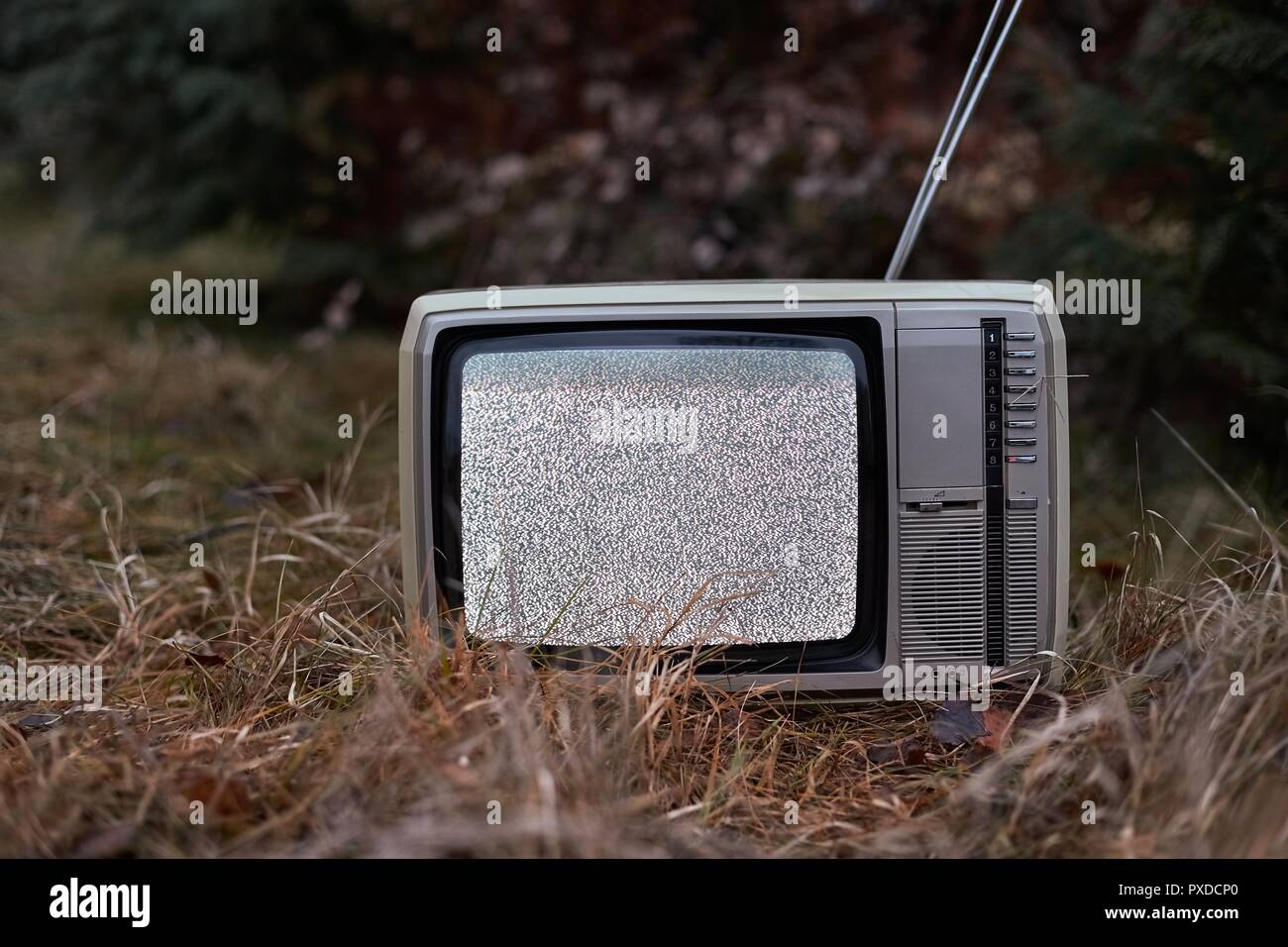 Aucun signal TV dans l'herbe Banque D'Images