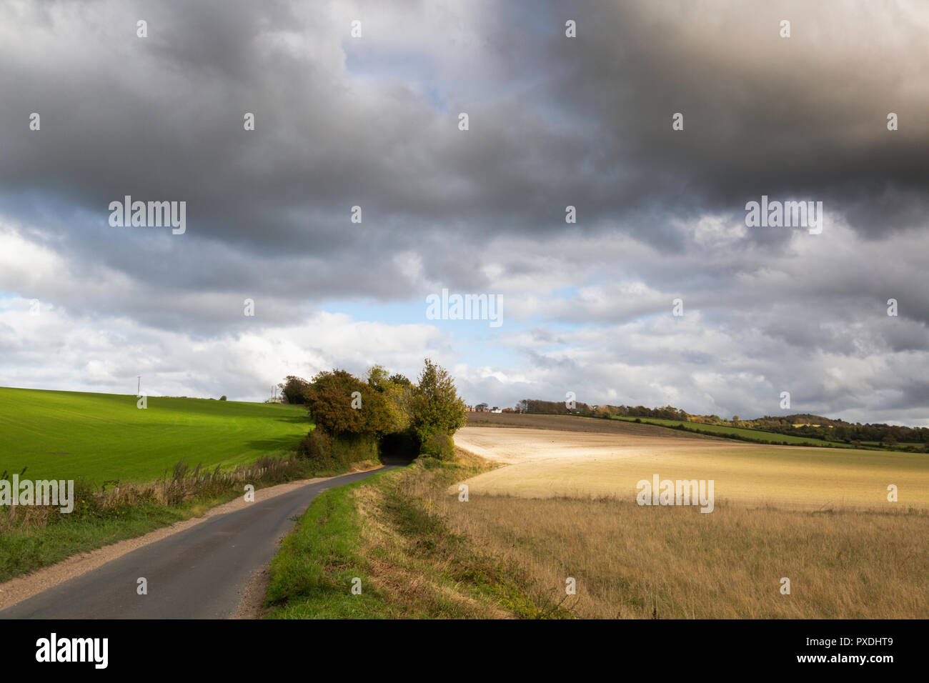 Lumière dramatique sur les champs vallonnés de la Chartham Downs, une partie de l'Amérique du Kent Downs, à Mystole près de Canterbury, Kent, UK. Banque D'Images