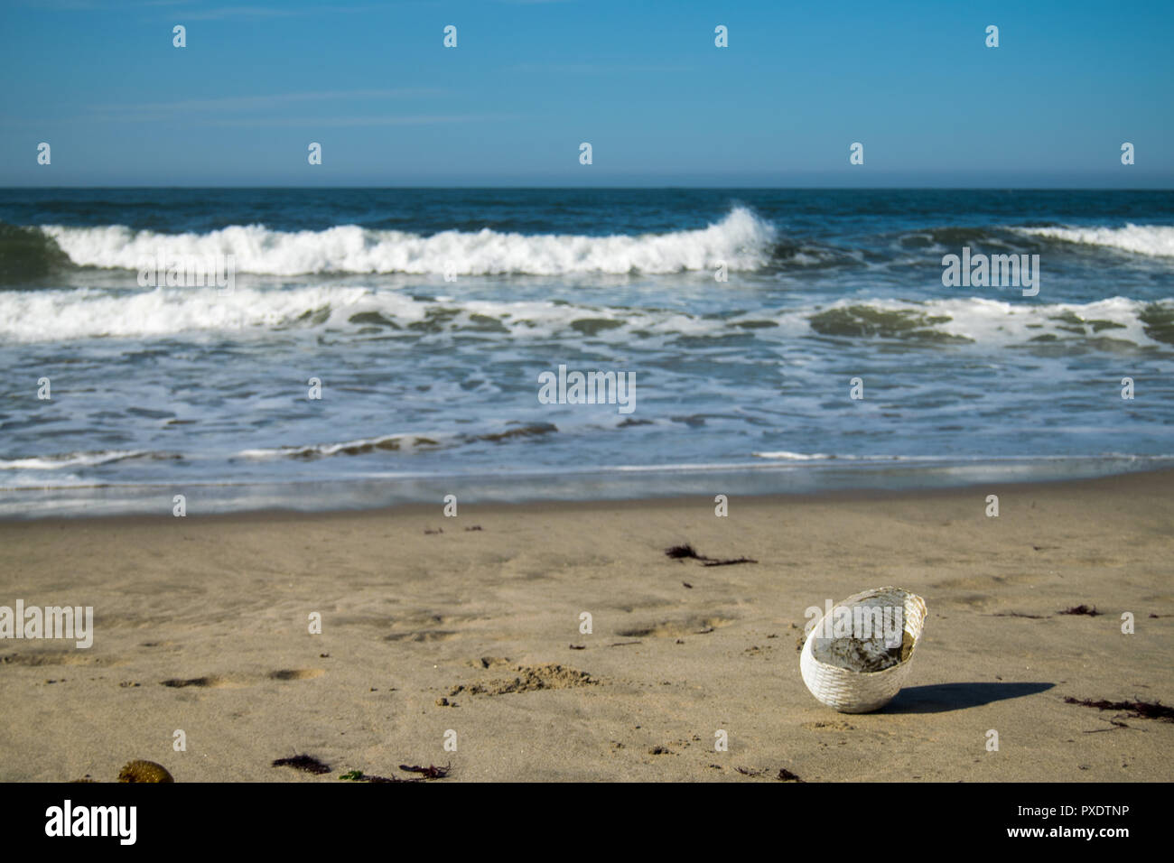 Ofir plage au Portugal, surf spot. Problème de pollution sur les plages par l'utilisation de plastiques et la mauvaise élimination. Banque D'Images