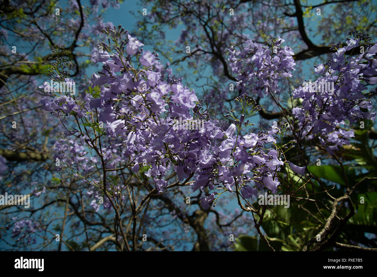 Johannesburg Afrique Du Sud Le 21 Octobre 2018 Le Soleil