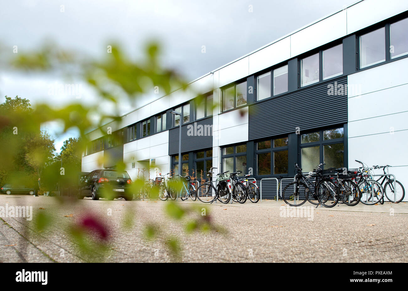 Oldenburg, Allemagne. 22 octobre, 2018. La construction de l'École de médecine, qui abrite la faculté de médecine et des Sciences de la Santé de l'Université Carl von Ossietzky. Le Conseil scientifique examinera l'Oldenburg cours médical cette semaine. Credit : Hauke-Christian Dittrich/dpa/Alamy Live News Banque D'Images