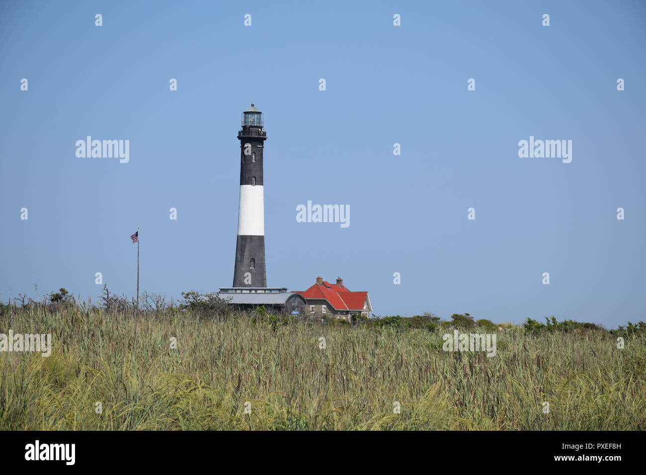 Fire Island usa Banque D'Images