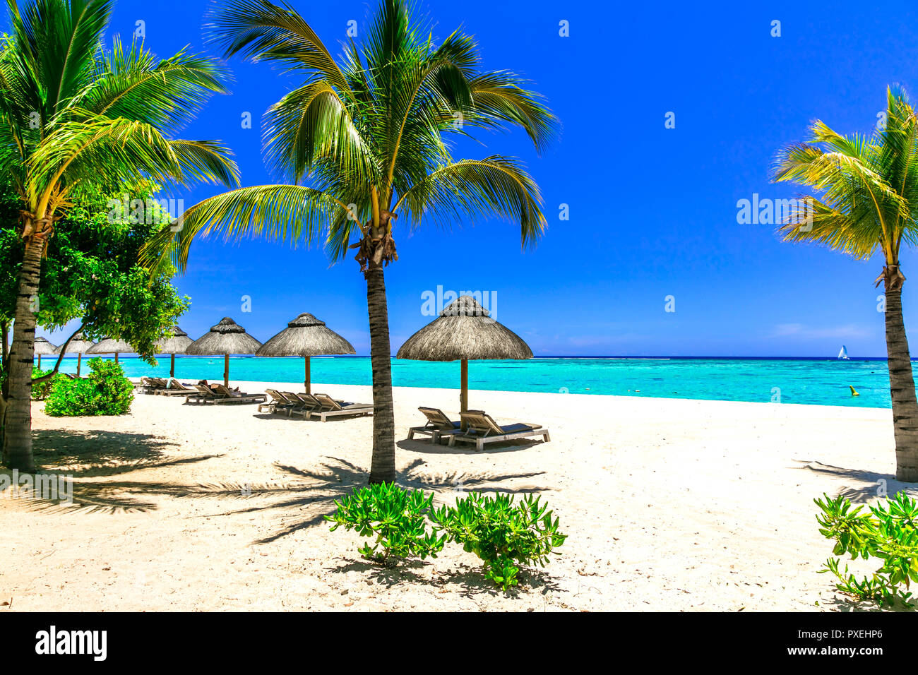 Paradis tropical à l'île Maurice. Banque D'Images