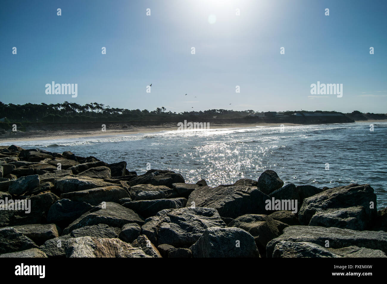 Ofir Beach au Portugal, spot de surf Banque D'Images