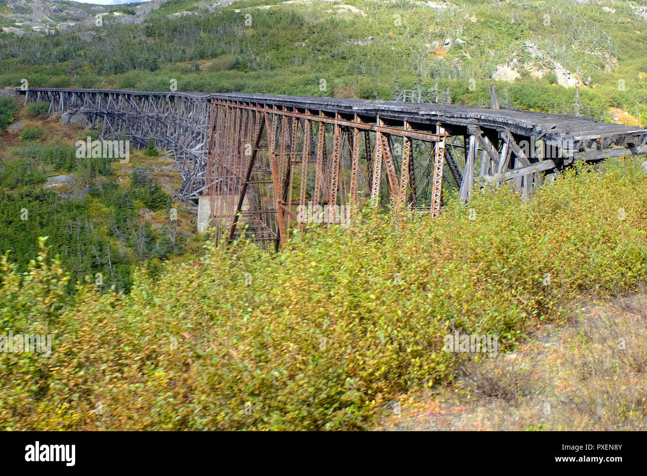 Vieux pont de chemin de fer de la White Pass and Yukon Route près de Skagway, Alaska Banque D'Images