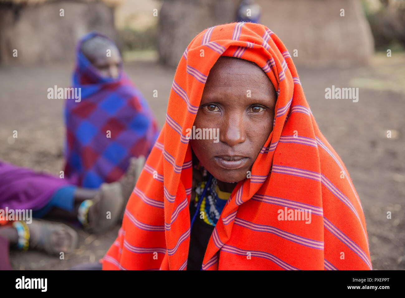 Village massaï au cratère du Ngorongoro en Tanzanie Banque D'Images