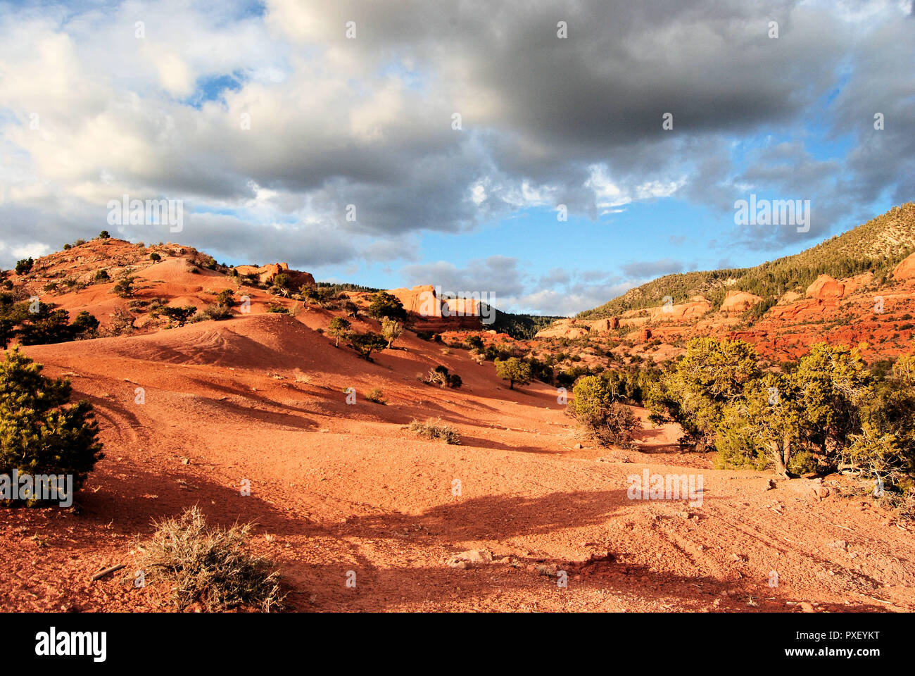 Vue du désert de la vallée de Lukachukai, un Navajo Land dans Apache Comté, Arizona, USA, avec beaucoup de collines et d'arbustes, de sable rouge et des pierres et un ciel nuageux Banque D'Images