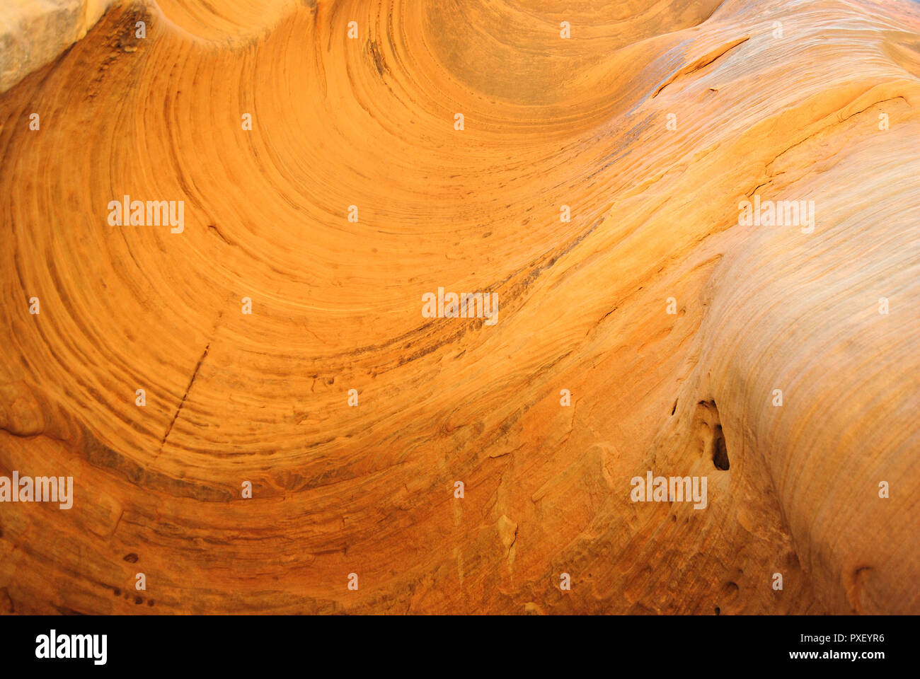 Un gros plan d'un mur de grès jaune vif à Vermillion Cliffs National Monument, érodés par le passage du temps et le sable, et avec une texture wave Banque D'Images