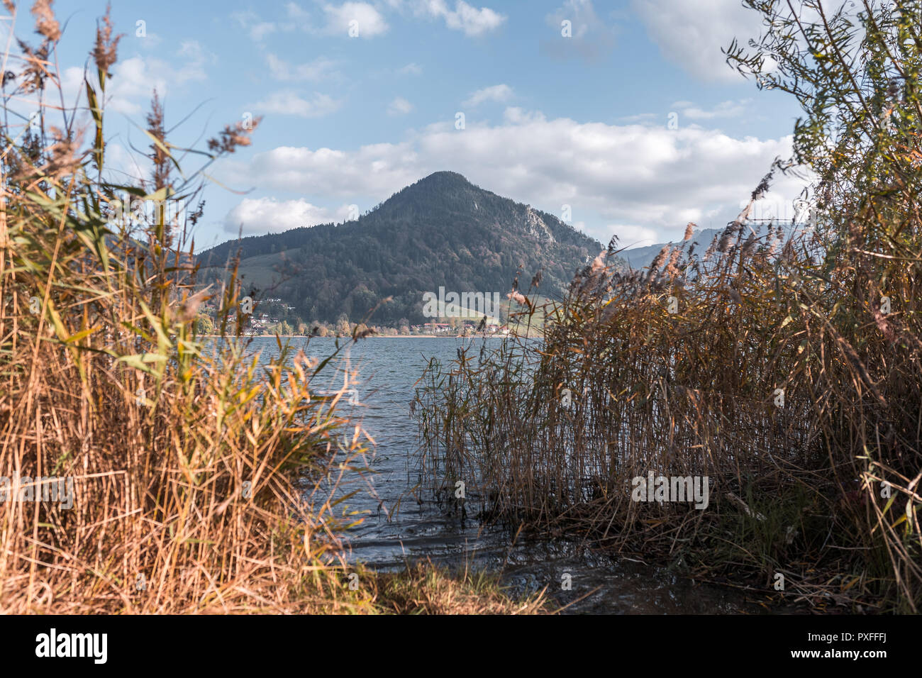 Les couleurs de l'automne à Schliersee dans les montagnes bavaroises. Avec reed dans l'avant-plan. Banque D'Images