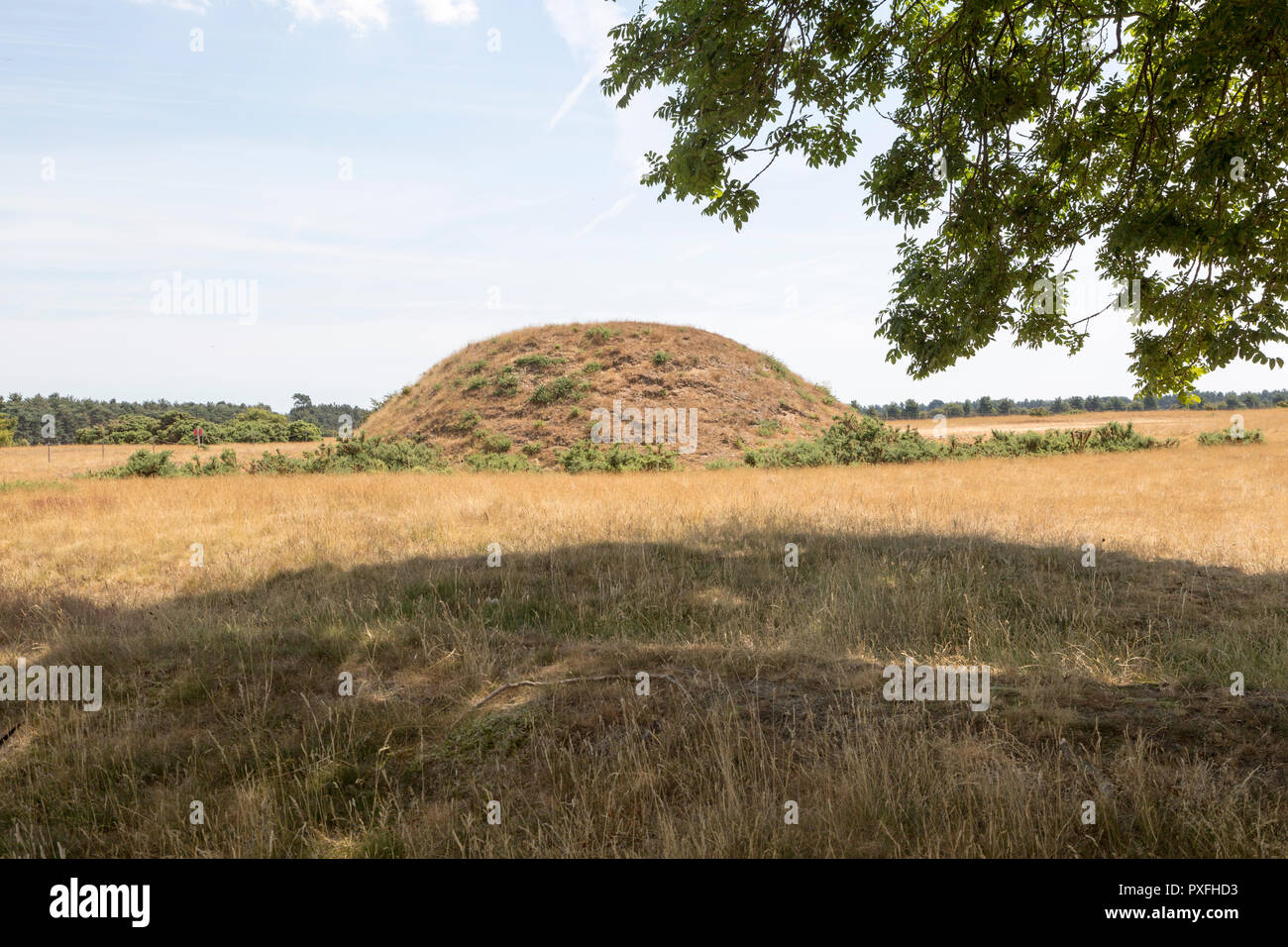 Tumulus funéraire à l'Anglo-saxon site archéologique de Sutton Hoo, dans le Suffolk, Angleterre Banque D'Images