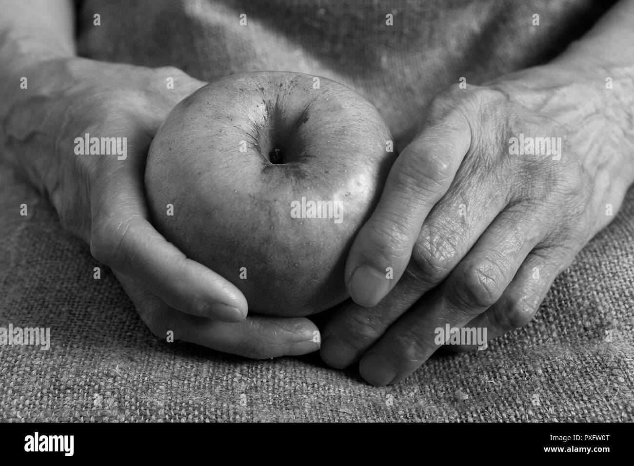 Une pomme mûre dans les mains d'une vieille femme. Partie du corps. Banque D'Images