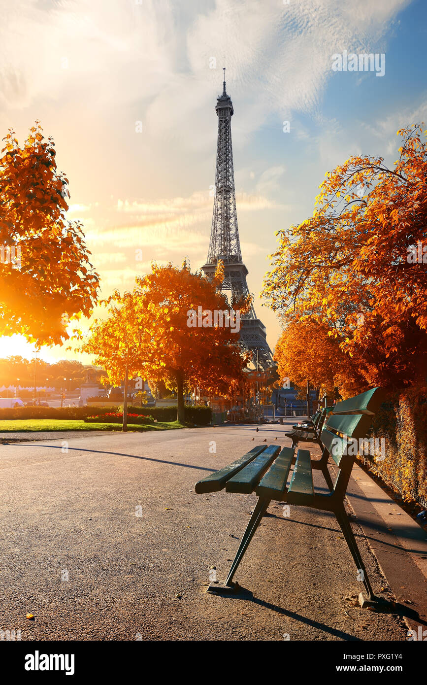 Matin ensoleillé, de la Tour Eiffel et à l'automne, Paris, France Banque D'Images