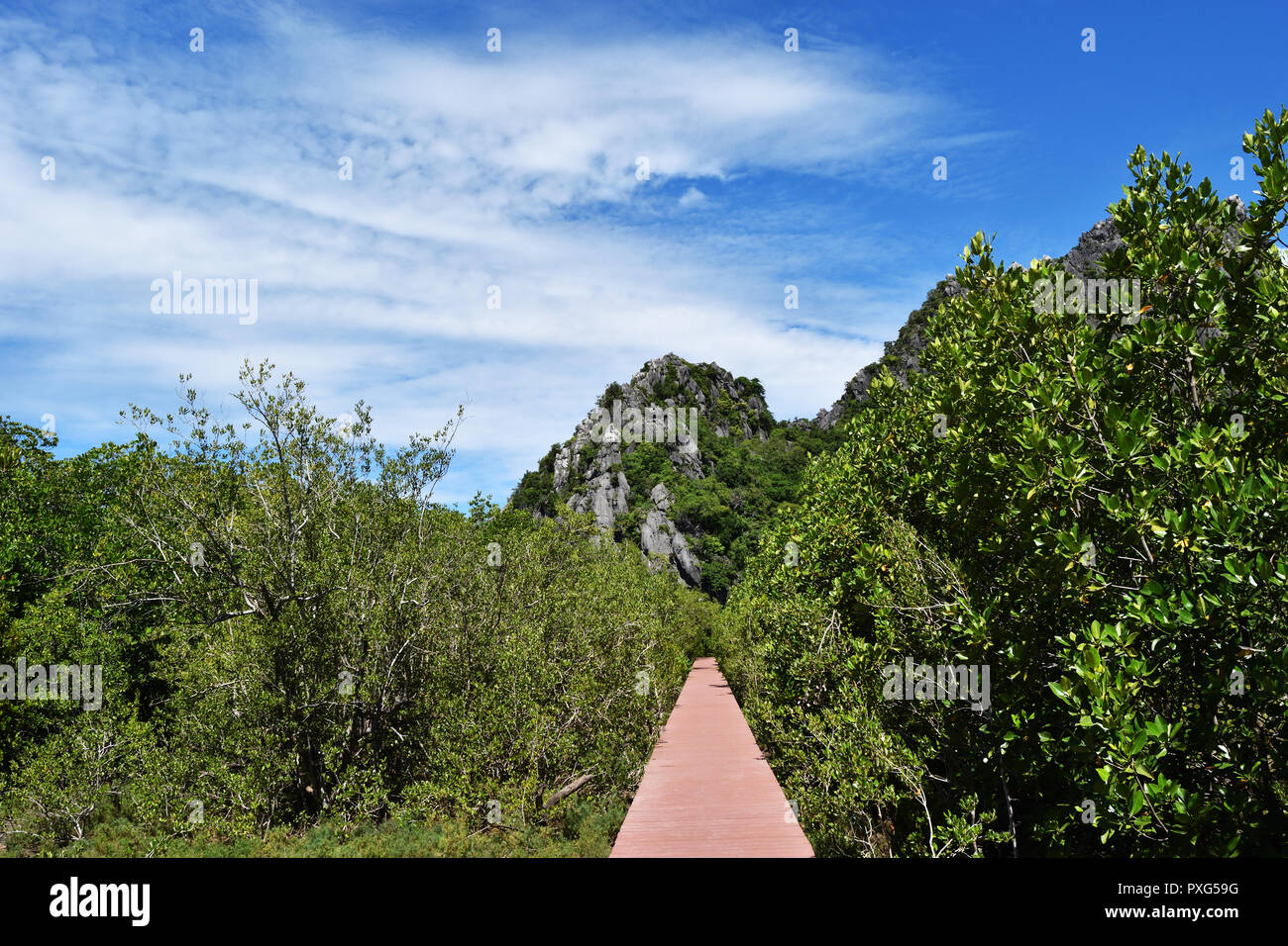 La montagne calcaire avec pont en bois rouge et de feuilles dans la forêt de mangrove bush, Altostratus nuage sur beau ciel bleu, Khao Sam Roi Yot National Park Banque D'Images