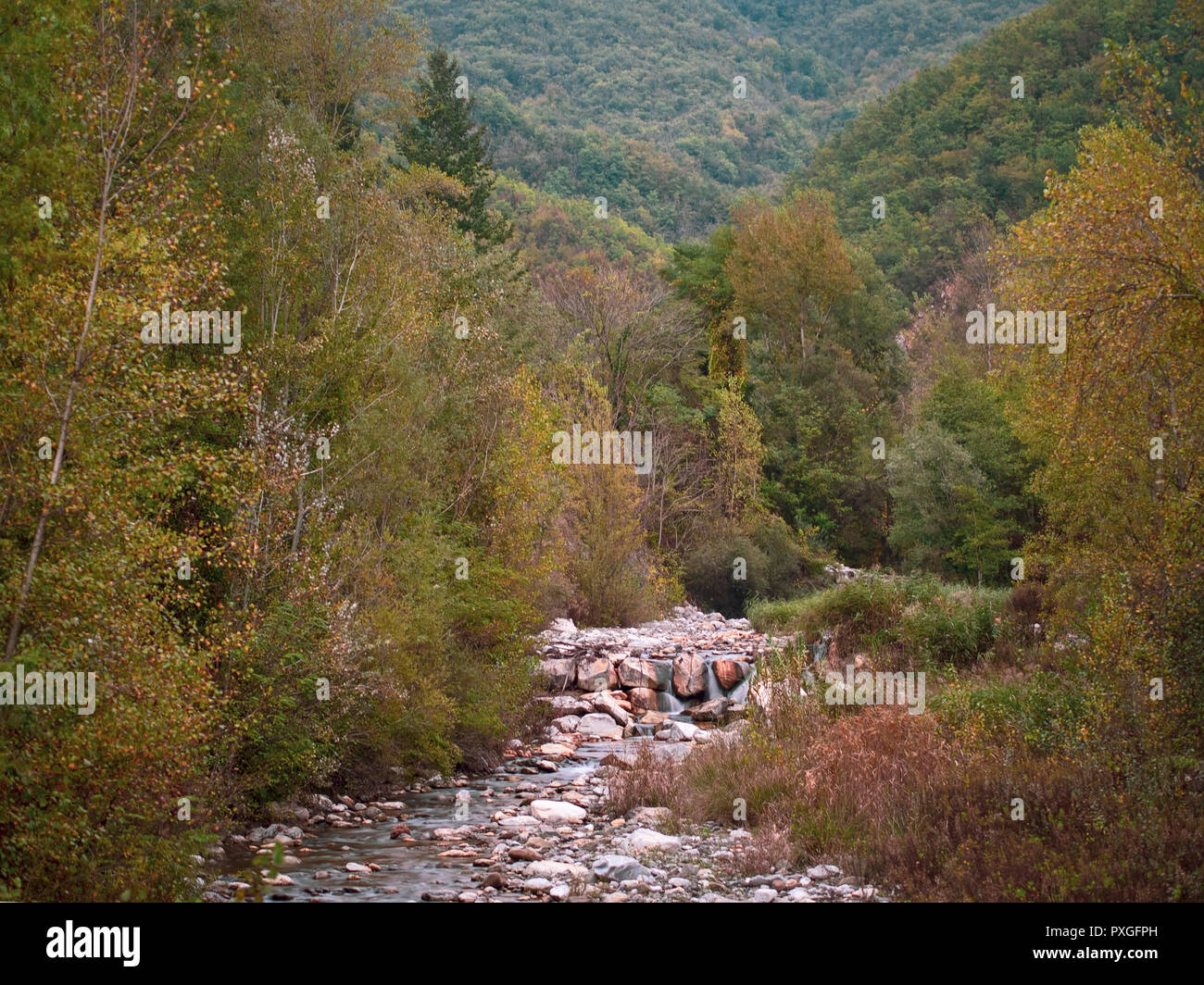 Paysage d'automne avec Brook, ressort dans les Alpes Apuanes près de Equi Terme, la Lunigiana, en Italie. Banque D'Images
