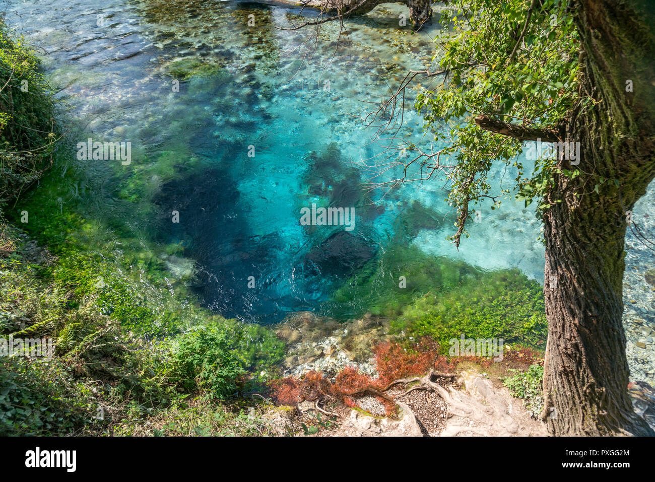 Karstquelle Syri i Kalter oder Blaues Auge, Albanien, Europa | Printemps de l'eau Tne Blue Eye Syri i Kalter, l'Albanie, de l'Europe Banque D'Images