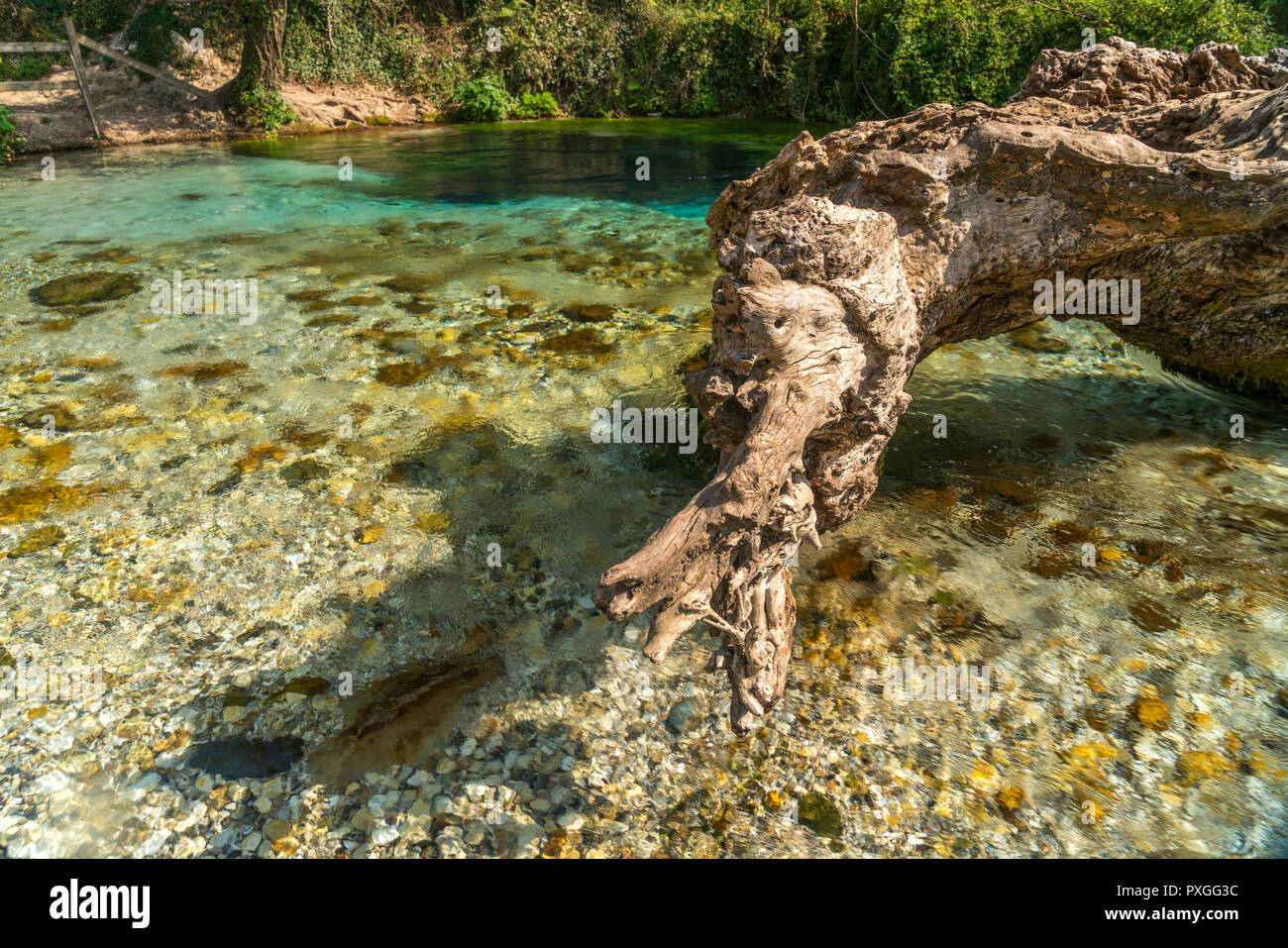 Karstquelle Syri i Kalter oder Blaues Auge, Albanien, Europa | Printemps de l'eau Tne Blue Eye Syri i Kalter, l'Albanie, de l'Europe Banque D'Images