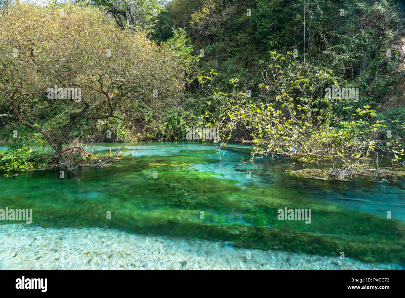 Karstquelle Syri i Kalter oder Blaues Auge, Albanien, Europa | Printemps de l'eau Tne Blue Eye Syri i Kalter, l'Albanie, de l'Europe Banque D'Images
