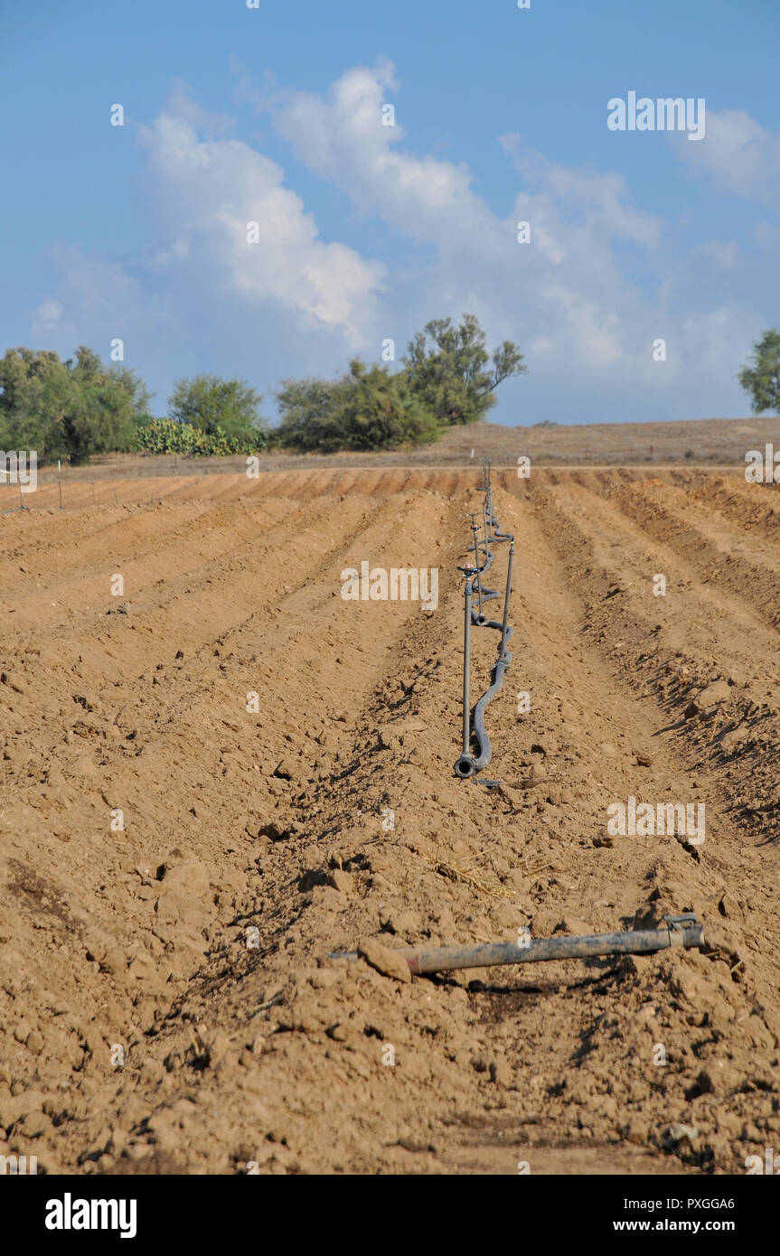 Gicleurs fixes d'Irrigation, placé dans un champ labouré. Photographié en Israël Banque D'Images