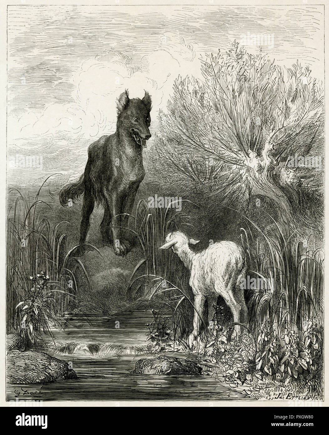 Le loup et l'agneau Banque de photographies et d’images à haute