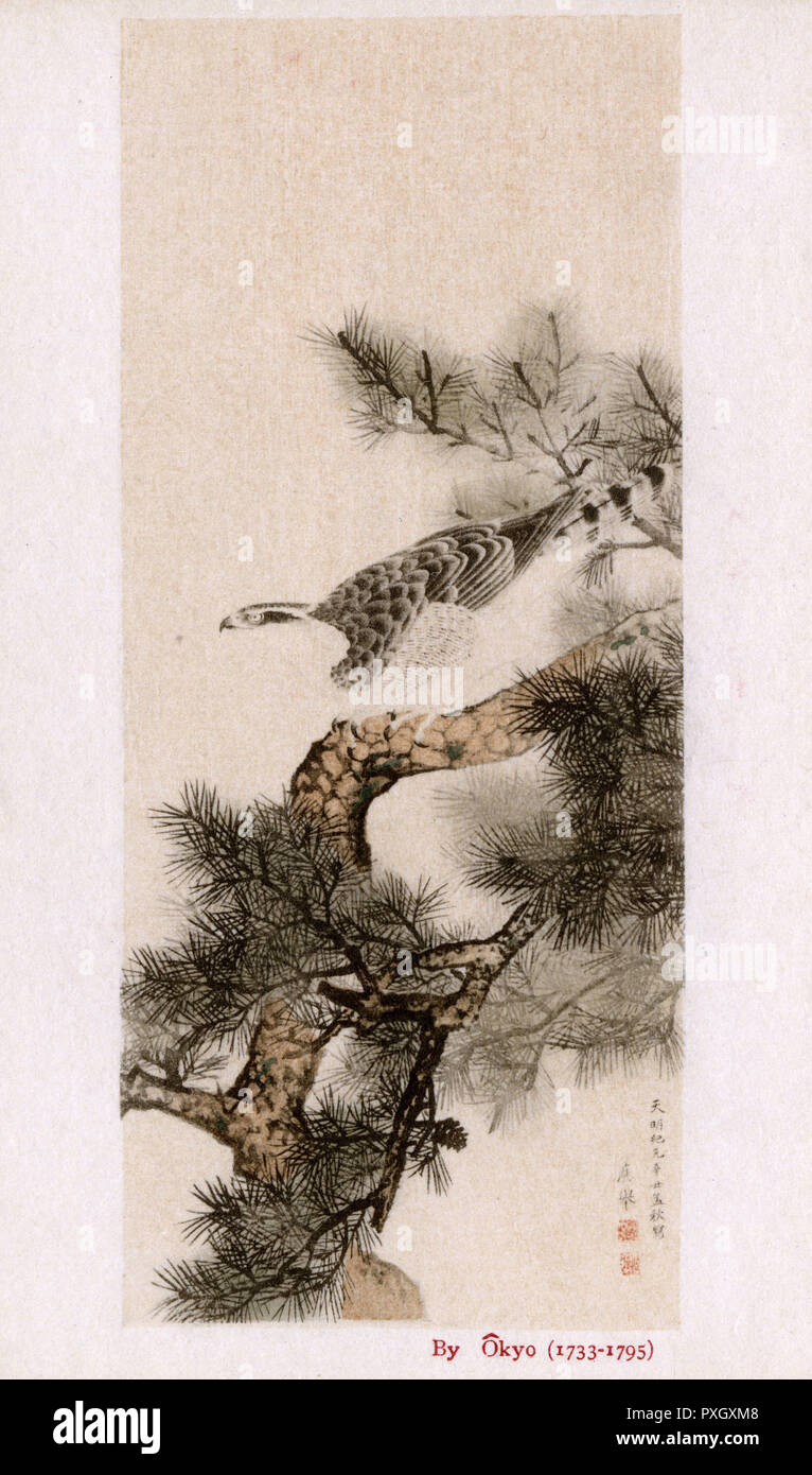 Hawk sur un pin par Maruyama Okyo Banque D'Images