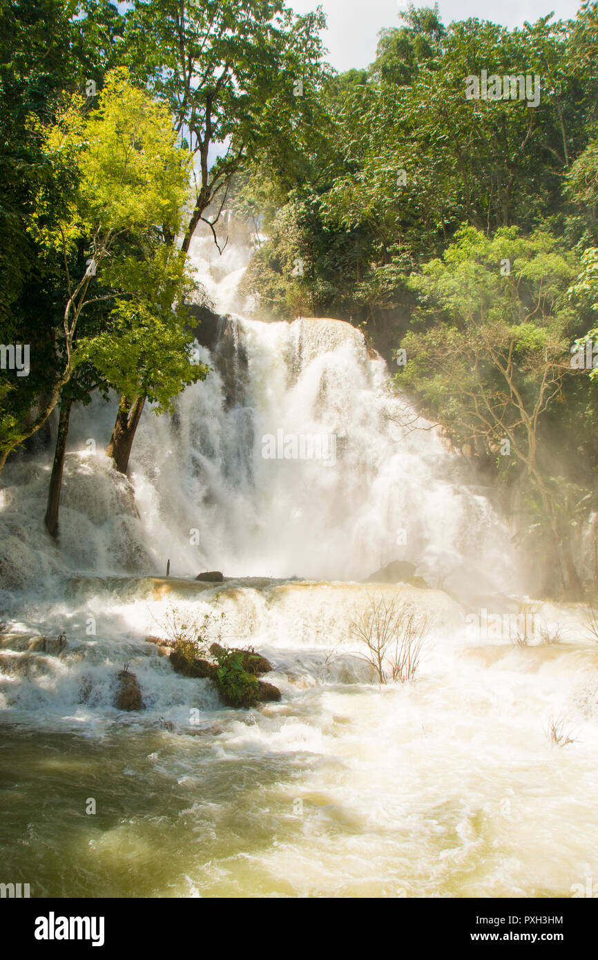 De Kuang Si en vert saison / saison des pluies sur une journée ensoleillée après la pluie. Luang Prabang, Laos. Banque D'Images