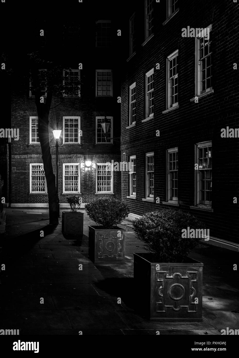 L'image de nuit d'arbres et jardinières de fleurs dans le boulon Court, Londres, Angleterre la nuit Banque D'Images