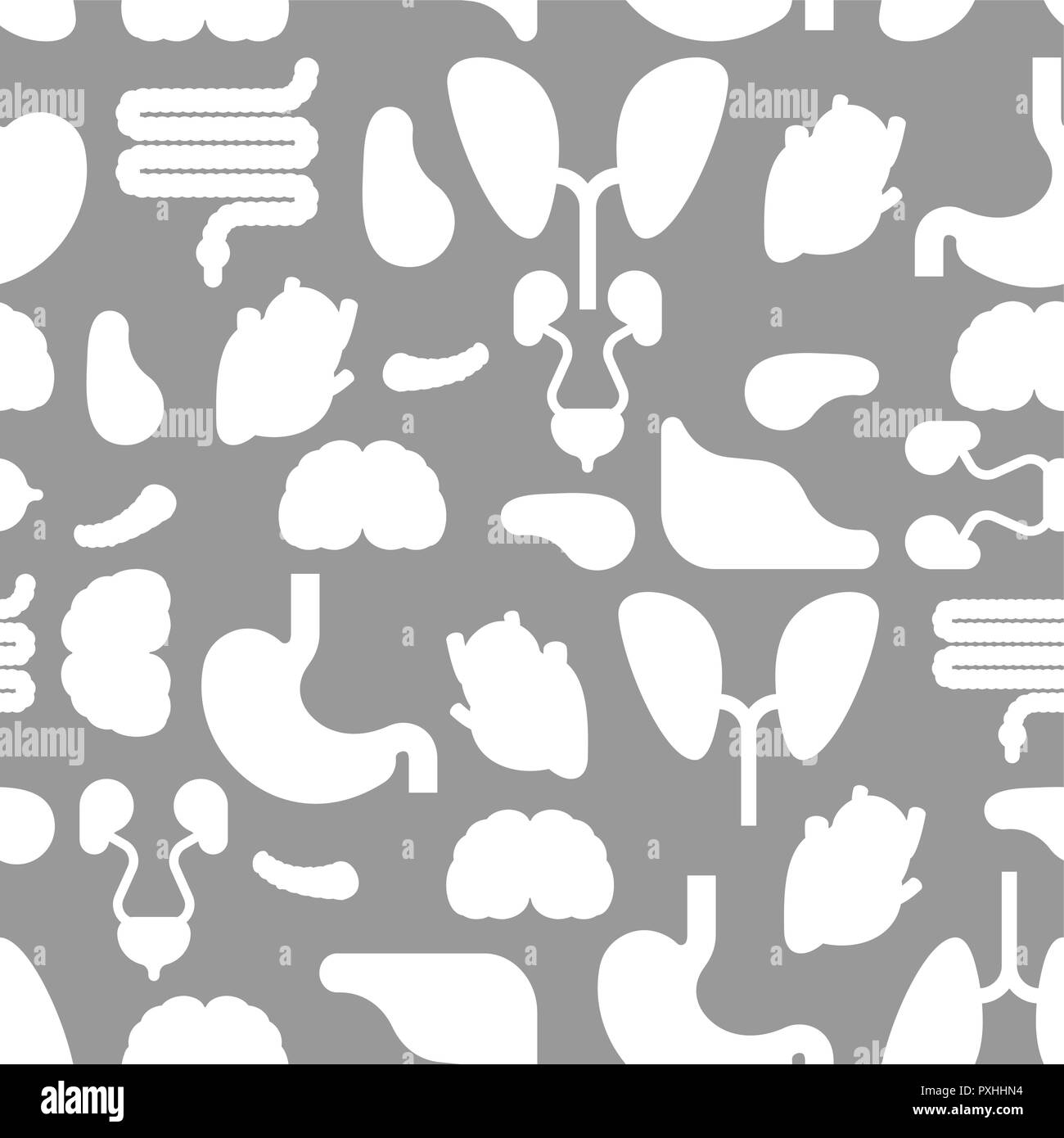Les organes internes sans motif. Arrière-plan de l'anatomie. Systems de l'homme et les organes du corps ornement. medical systems la texture. vector illustration Illustration de Vecteur