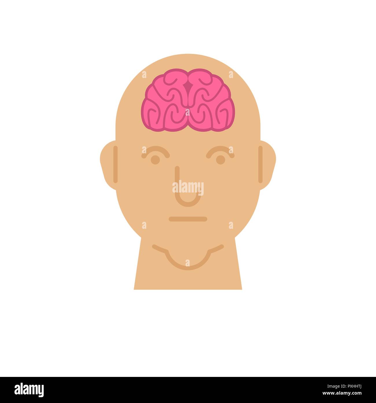Braiin en tête l'anatomie humaine. Organes internes. vector illustration Illustration de Vecteur