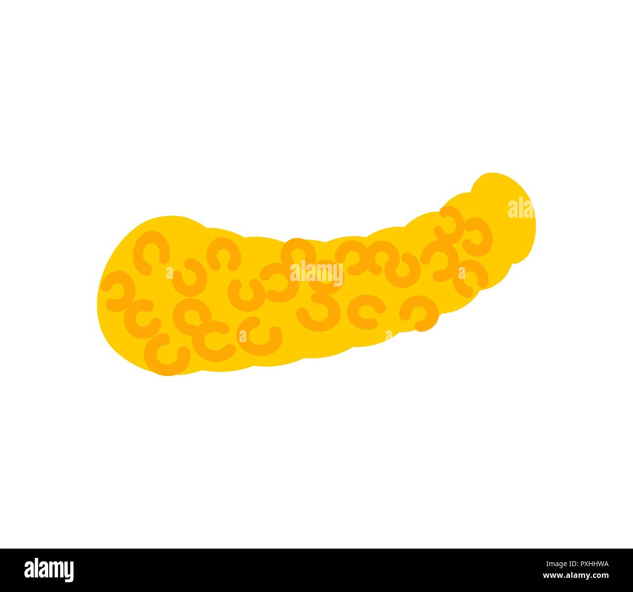 Pancréas isolés. Les organes internes anatomie humaine. vector illustration Illustration de Vecteur